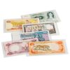 Leuchtturm BASIC plastic pockets for banknotes