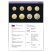 EURO Catalogue for coins and banknotes 2023, english