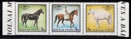 Hungary-1989 set-Babolna Horse-UNC-Stamp